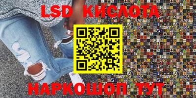 шишки Сланцы