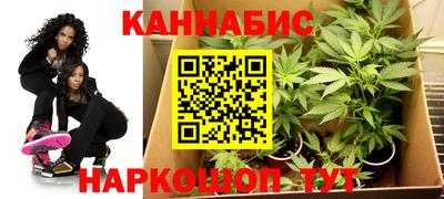 каннабис Славгород